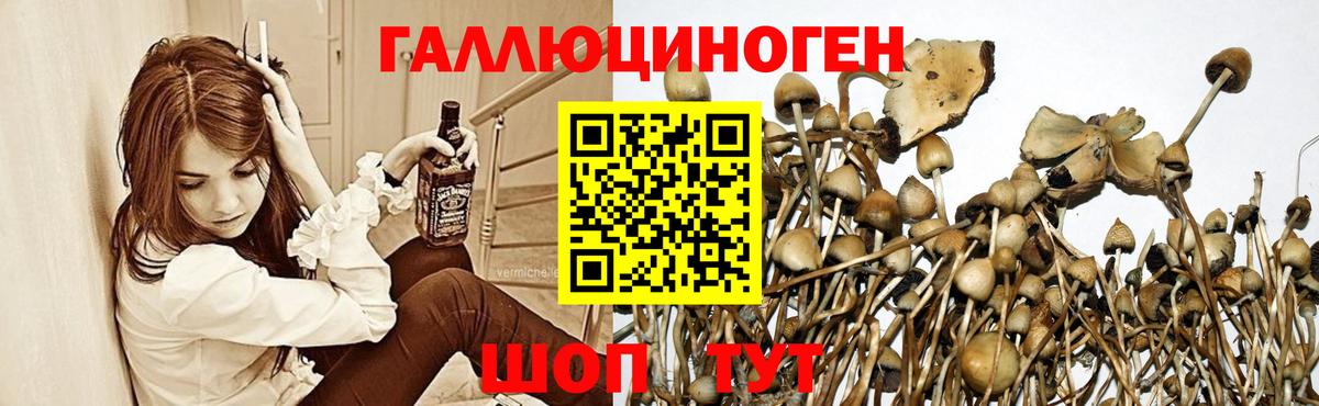 Галлюциногенные грибы прущие грибы Ульяновск
