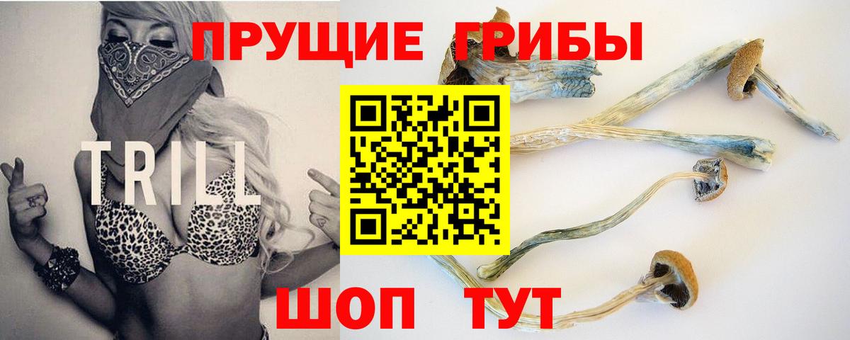 где купить наркотик  Вход с VPN  Ульяновск  Псилоцибиновые грибы ЛСД 